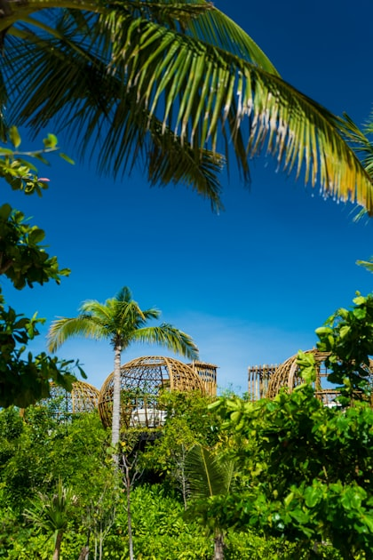 Zanzibar: A Growing Real Estate Market