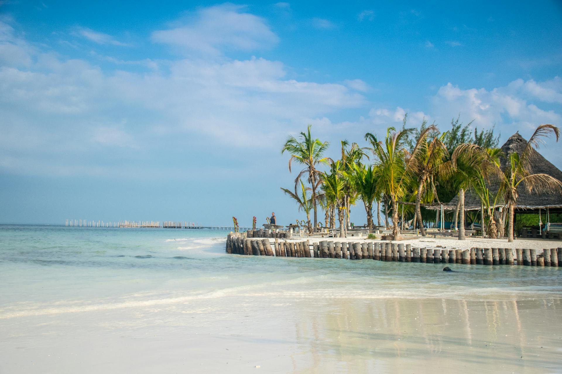 Zanzibar pristine beach